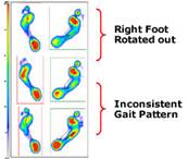Sample Analysis